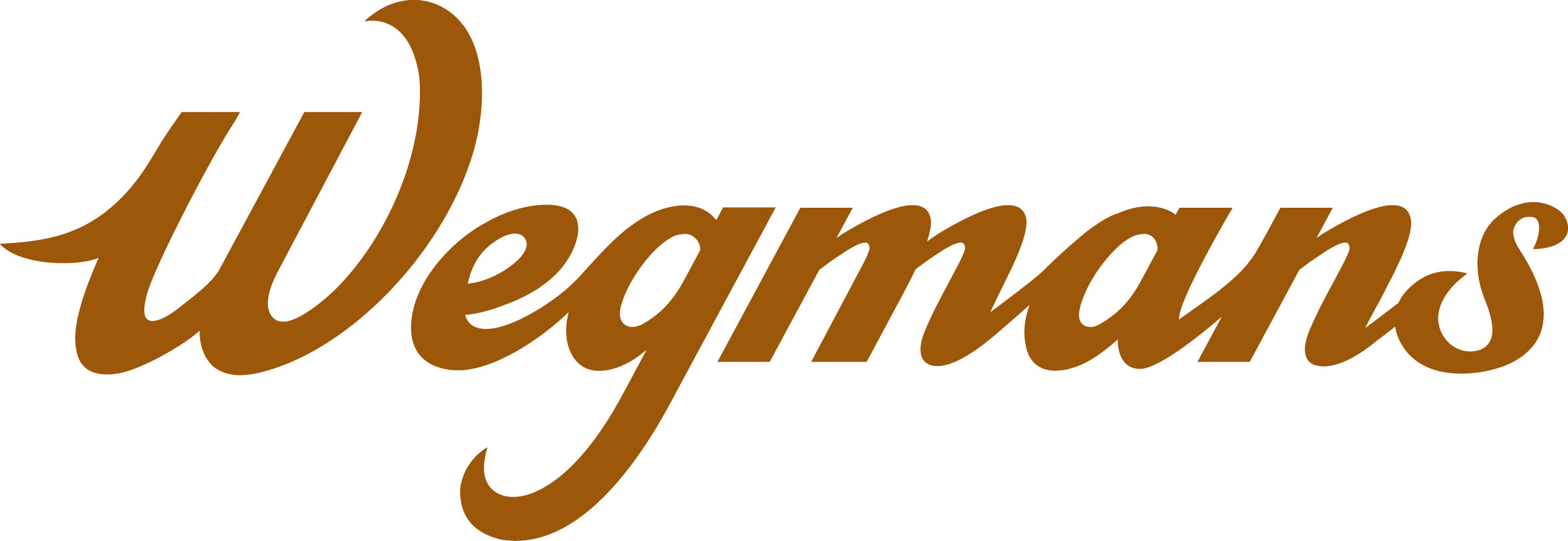 Wegmans_logo_2008
