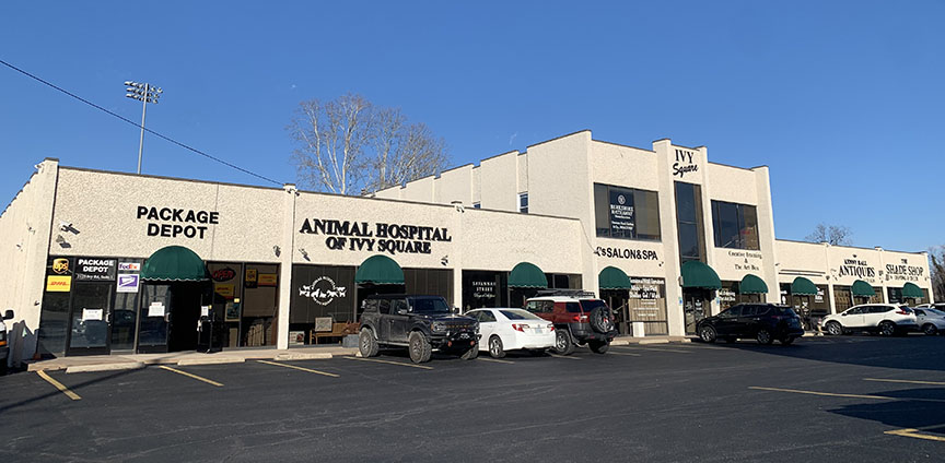 Ivy Square Shopping Center_pr